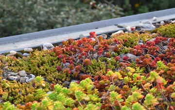 the cost of Bredenbury green roof installation