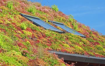 Bredenbury living roof systems